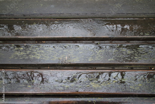 wet planks of an old park bench