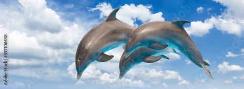 Foto three jumping dolphins