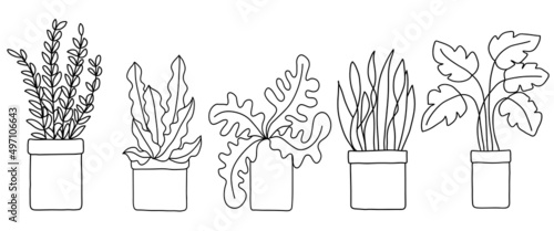 Hand drawn tree plant collection. Vector illustration in doodle art style on white background