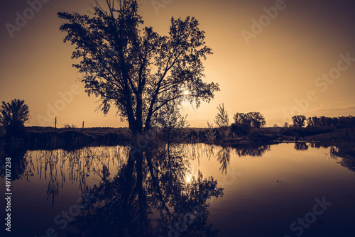Beautiful spring landscape with a small lake and tree at the morning. Yellow tone.