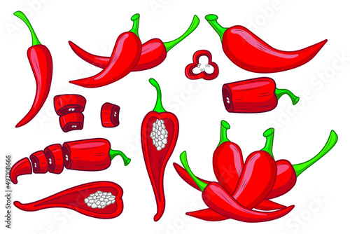 Set of Red Chili Pepper vector illustration. Vegetable engraved object style. Isolated spicy Vegetarian food drawings. Paprika market.