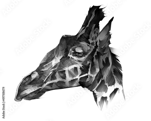 Drawn graphic portrait of an animal giraffe on a white background