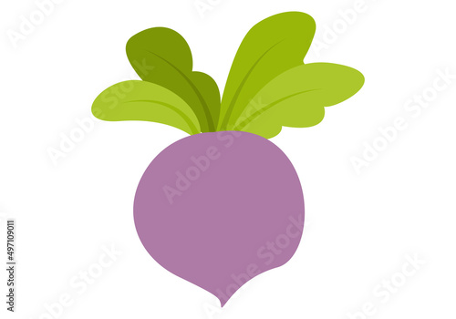 Icono de nabo morado en fondo blanco. 