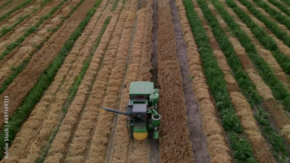 Slow motion aerial shot of Modern small harvester machine is operating in the field on breeding station Slow motion aerial shot of Modern small harvester machine is operating in the field on breeding station