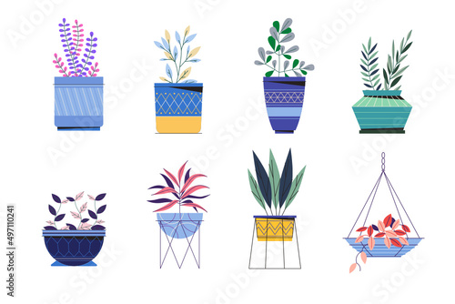 Set of houseplants in pots vector illustration