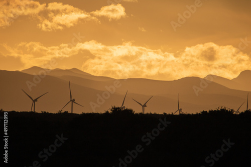 Wind farms seen from Addo Elephant National Park