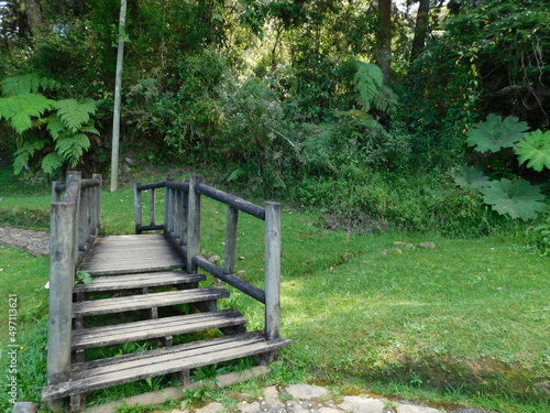 stairs in the park