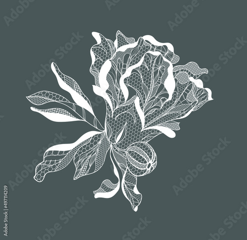 Lace pomegranate flowers. Vector illustration
