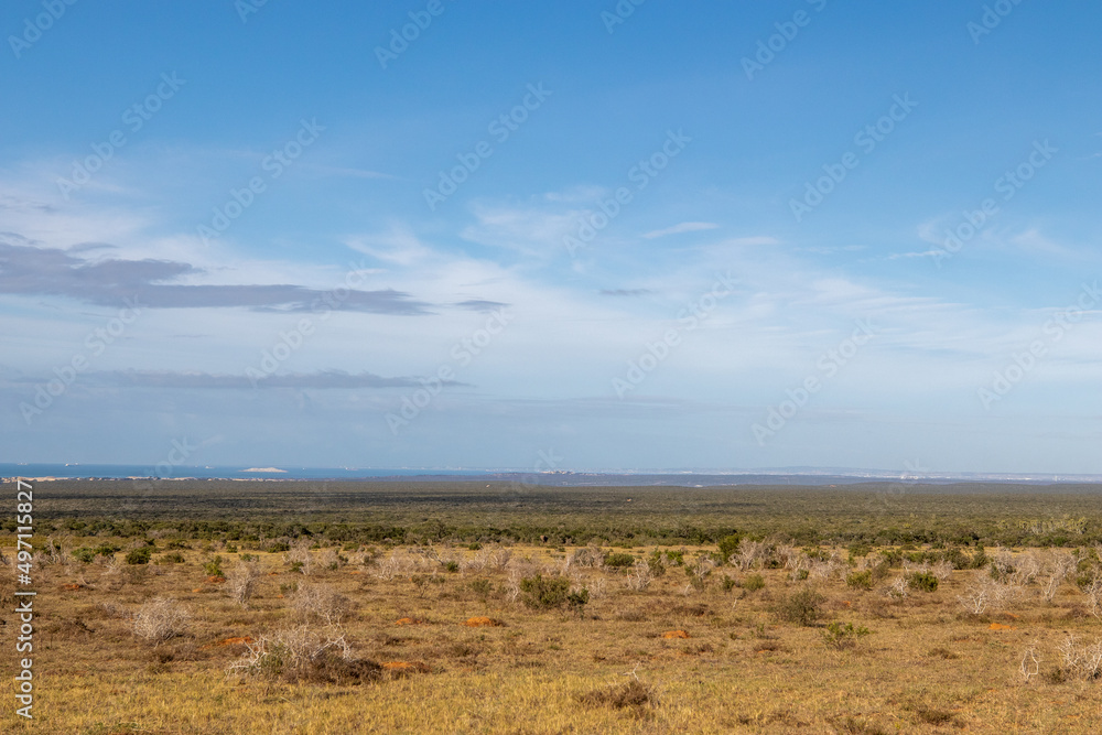 Landscape in Addo Elephant National Park, South Africa Landscape in Addo Elephant National Park, South Africa