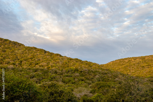 Landscape in Addo Elephant National Park, South Africa