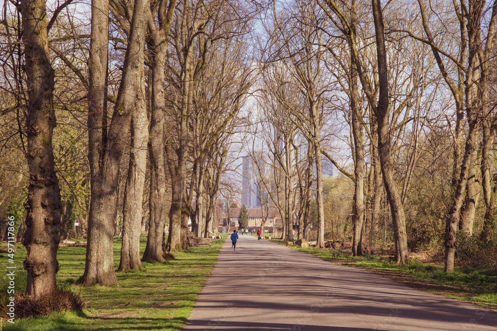 A tree lined avenue in the park with people walking