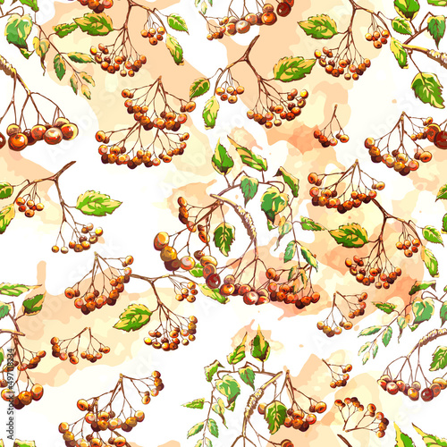 rowanberry vector drawing, seamless pattern with orange watercolor spots on a white background Bunches of mountain ash, orange berries, green leaves, red watercolor spots on a white background, seamle