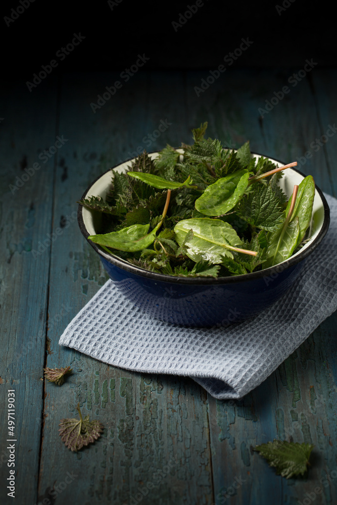 sorrel and nettle sorrel and nettle