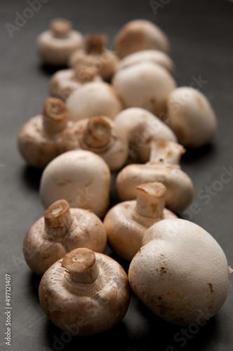 raw mushrooms champignons on a gray background, cooking champignons, close-up