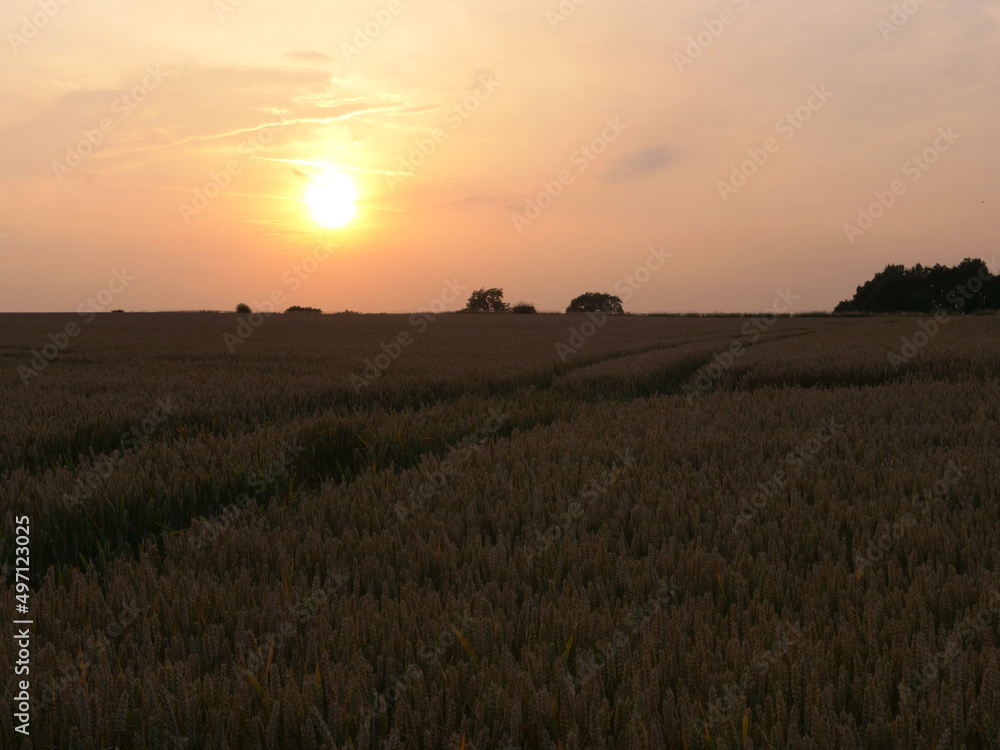 Sun setting on farmers field at dusk silhouette 