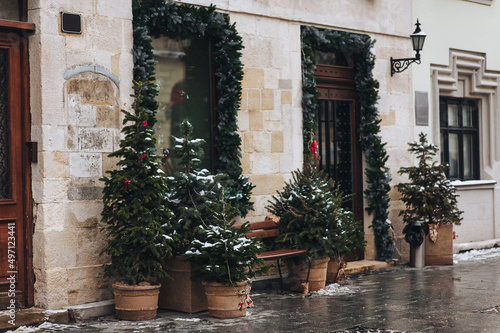 Photography Six green decorative Christmas trees stand in burlap pots on a gray cobbled sidewalk outside a shop in Lviv, Ukraine
