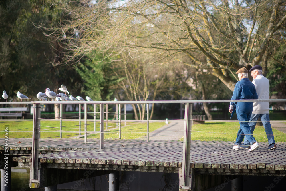 Senior couple calmly strolling together. Grey-haired man and woman in casual clothes holding hands enjoying warm spring weather and walking in park. Spending time and active rest together concept Senior couple calmly strolling together. Grey-haired man and woman in casual clothes holding hands enjoying warm spring weather and walking in park. Spending time and active rest together concept