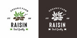 vintage raisin fruit logo illustration suitable for fruit shop and fruit farm