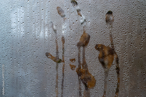 handprint on the misted glass
