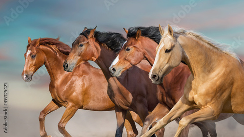 Fototapeta Naklejka Na Ścianę i Meble -  Horse herd run in desert