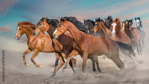 Fototapeta Naklejka Na Ścianę i Meble -  Horse herd run in desert