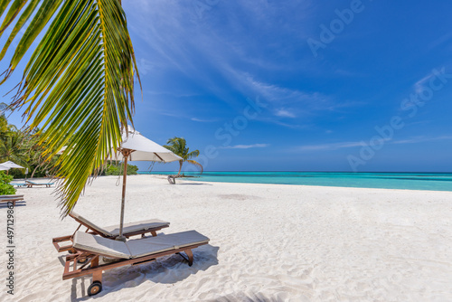 Beautiful tropical island landscape, freedom sun chairs, loungers umbrella under palm tree leaves. White sand, sea shore horizon. Beach vacation, summer resort, couples destination, tranquil nature