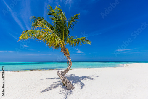 Tropical beach with palm tree, white sand sunny weather. Tropical island beach lonely palm tree. Exotic paradise, summer landscape. Sea sand sky beach template. Beautiful seaside vacation concept