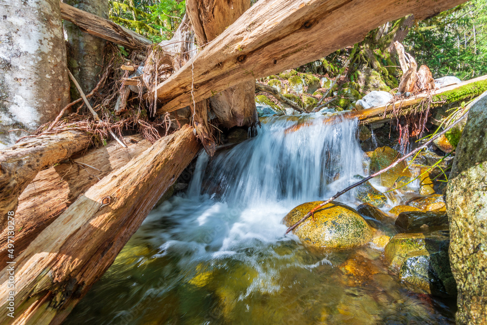 Naklejka premium majestic mountain creek with rocky background in Vancouver, Canada