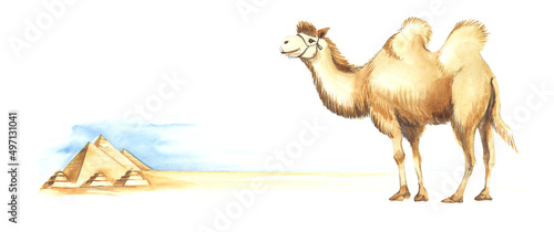 Big beautiful bactrian camel on the background of the Egyptian valley of the kings on a sunny day. Hand painted watercolor illustration. Colorful light sketchy drawing on white paper background