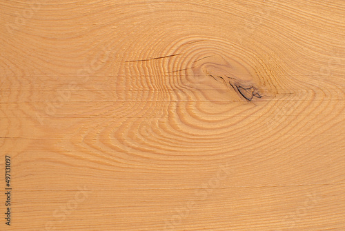 the texture of freshly sawn wood is light sand color