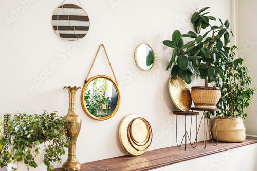 Stylish space with mirrors and plants: ficus benjamin, ficus elastica, Portulacaria. photo