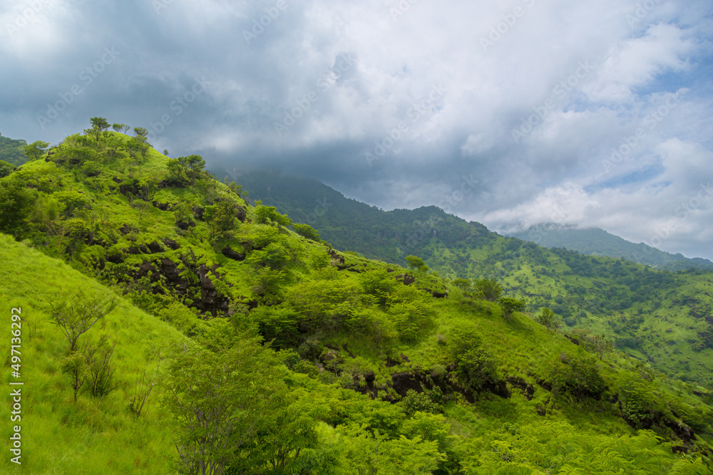 Obraz premium grüne Landschaft Balis