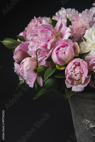 beautiful pink peonies on a black background