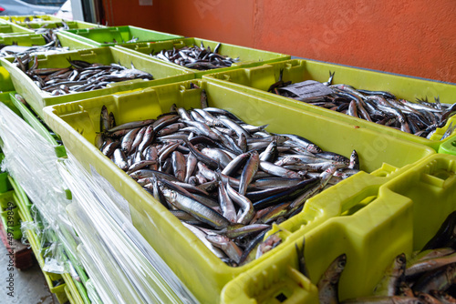 Anchoas recién pescadas en cajas esperando a la subasta en el puerto