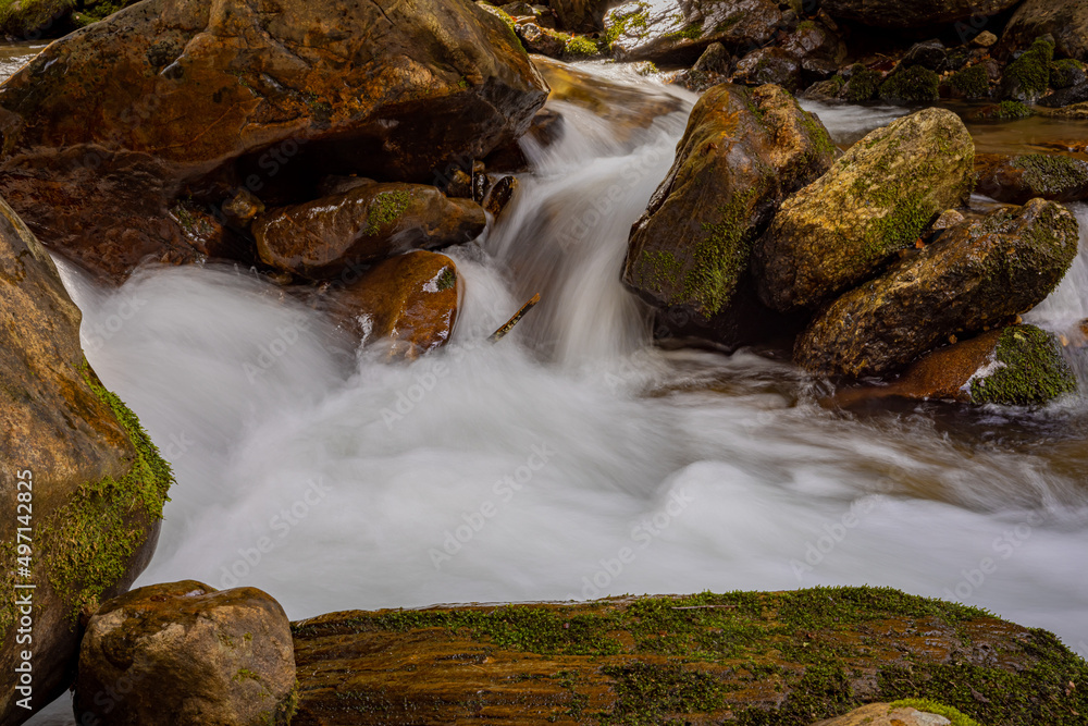Water falls gently over rock in Pisgah Forest Water falls gently over rock in Pisgah Forest