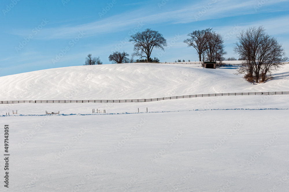 custom made wallpaper toronto digitalSnowy fields crossed by fence with trees against brilliant blue sky