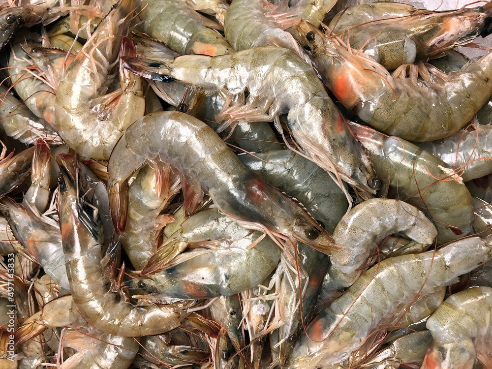 Raw shrimp at the fish Raw shrimp at the fish