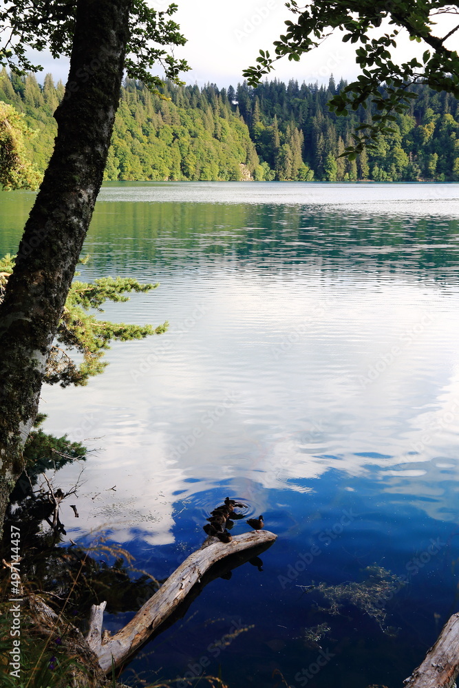 Le lac Pavin dans le massif du Sancy en Auvergne