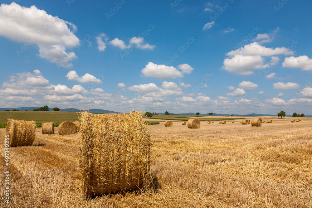 Fototapeta premium Landschaft mit Stoppelfeld und Strohballen, Südpfalz