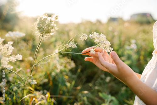 Adorable little girl wearing natural white dress with wildflower motiv touchingwild carrot flowers in the field at summer, outdoor lifestyle.