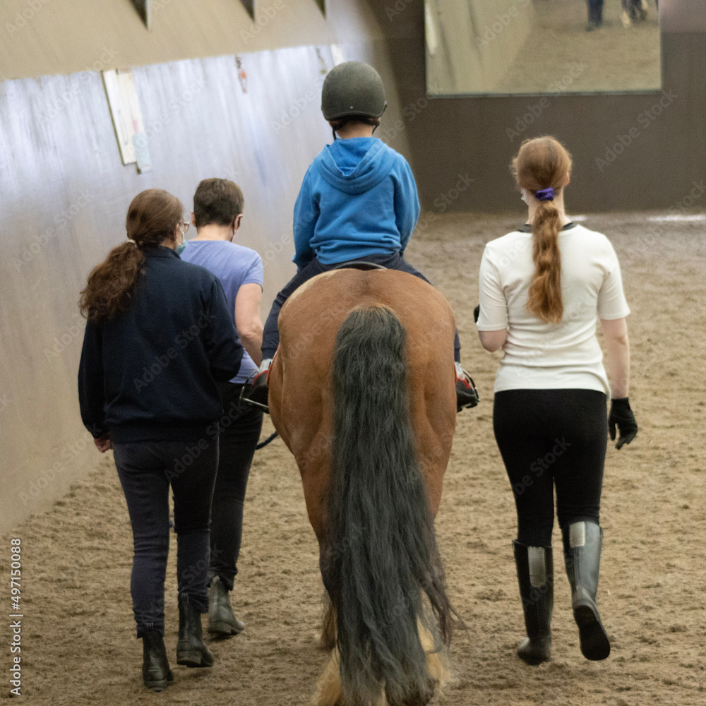 group of people on horse at a riding school