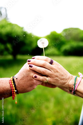 holding hands with dandelion 