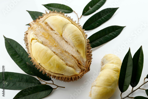 Durian Monthong King of Fruit from Thailand, on White Background
