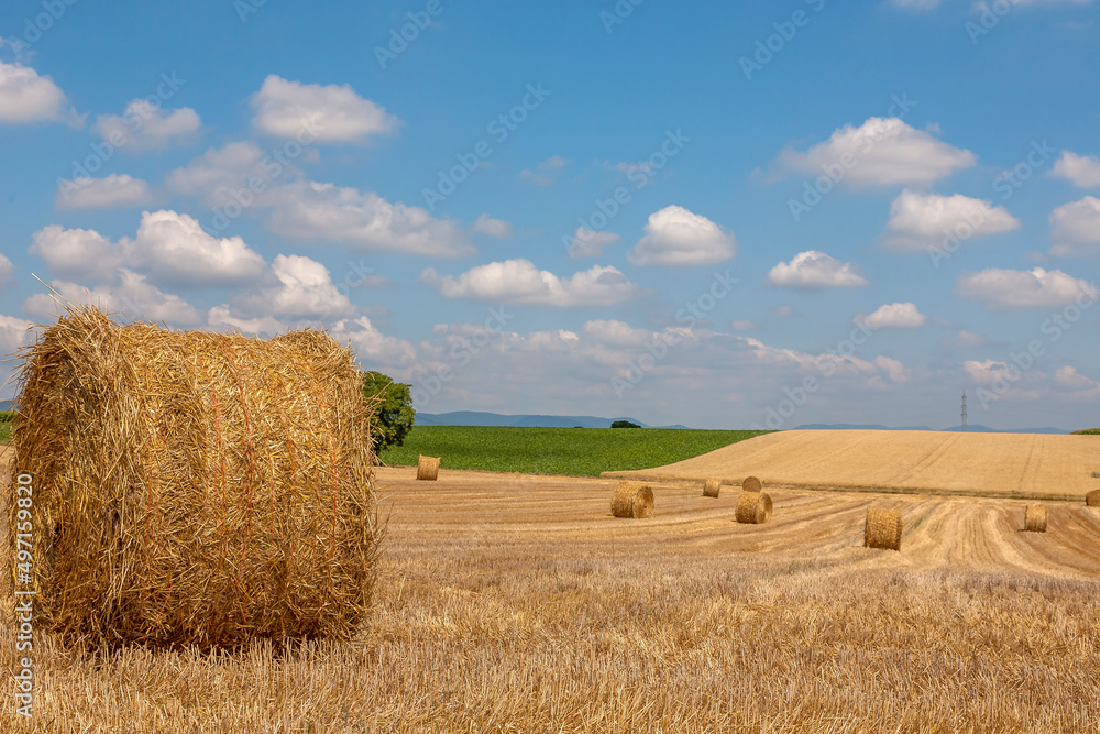 Fototapeta premium Landschaft mit Stoppelfeld, Wolkenhimmel, Pfalz