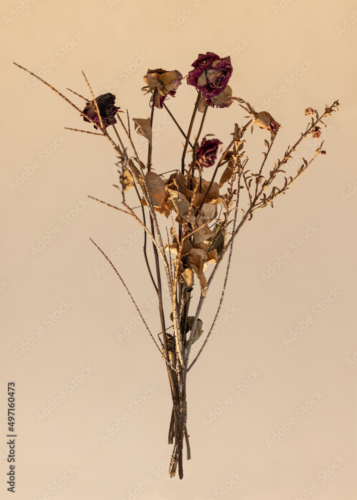 Ταπετσαρία Bouquet of withered roses. Old flowers on clean background.