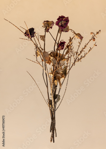 Bouquet of withered roses. Old flowers on clean background.