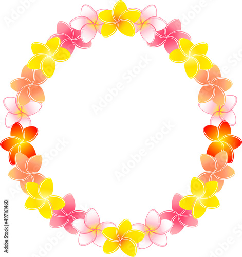 Clip art of frame of plumeria flower decoration