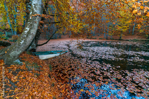 Picnic site with many benches in oak forest in Yedigoller National Park, Bolu Turkey. Empty picnic tables with autumn leaves, multiple colors photo