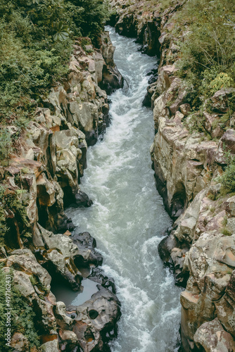 river in the forest