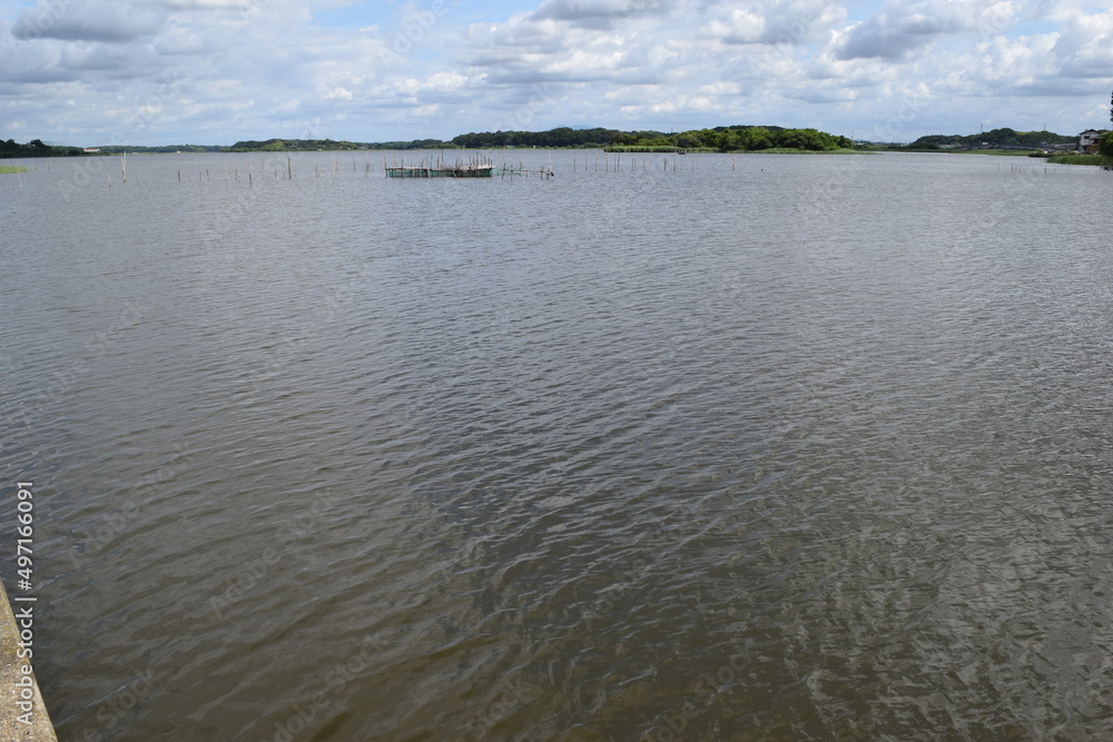 牛久沼（うしくぬま）／ 茨城県の牛久沼は小規模な漁業のほか、その水は主に農業用水として活用されています。また、週末などは多くの釣り人たちで賑わっています。沼に近い牛久市と同じ名前ですが、全域が龍ケ崎市の区域内です。